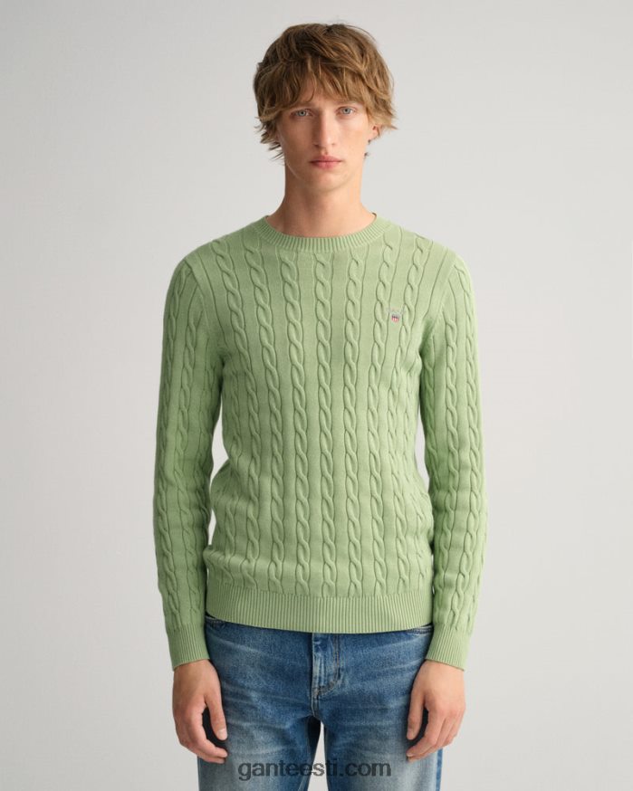 GANT mehed eukalüpti roheline puuvillane kaelusega kampsun NBR64N302