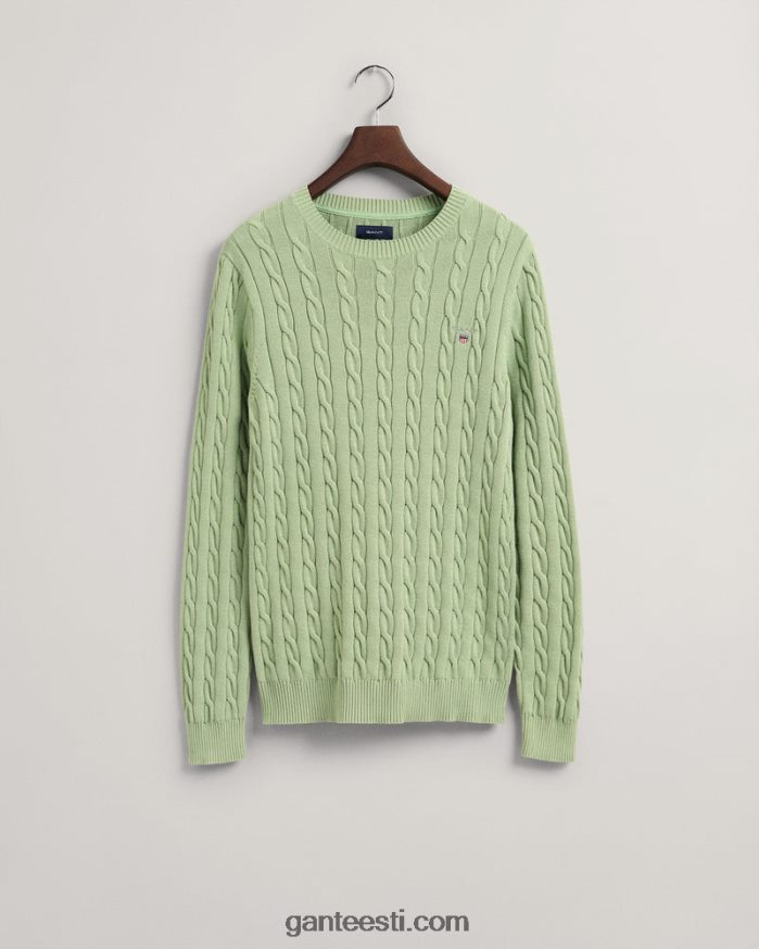 GANT mehed eukalüpti roheline puuvillane kaelusega kampsun NBR64N302