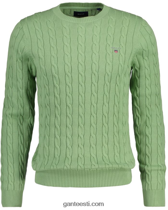 GANT mehed eukalüpti roheline puuvillane kaelusega kampsun NBR64N302